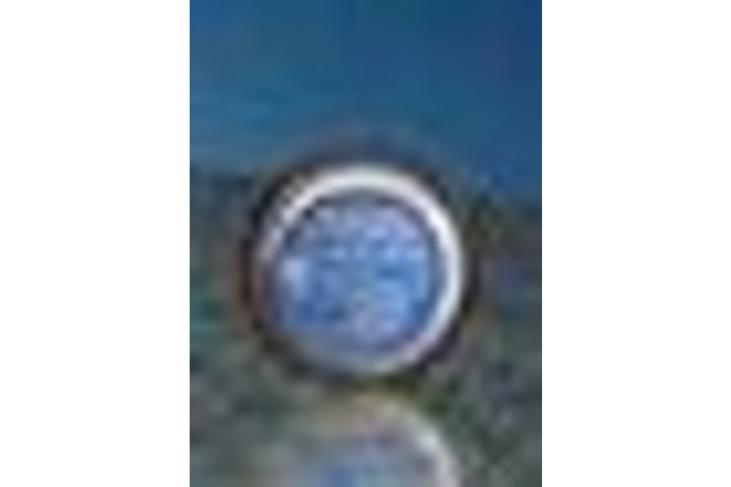 Tadiran Lithium Batterie TL-2450/P, Art.-Nr. 104823 - Akku Mäser - B2B-Shop