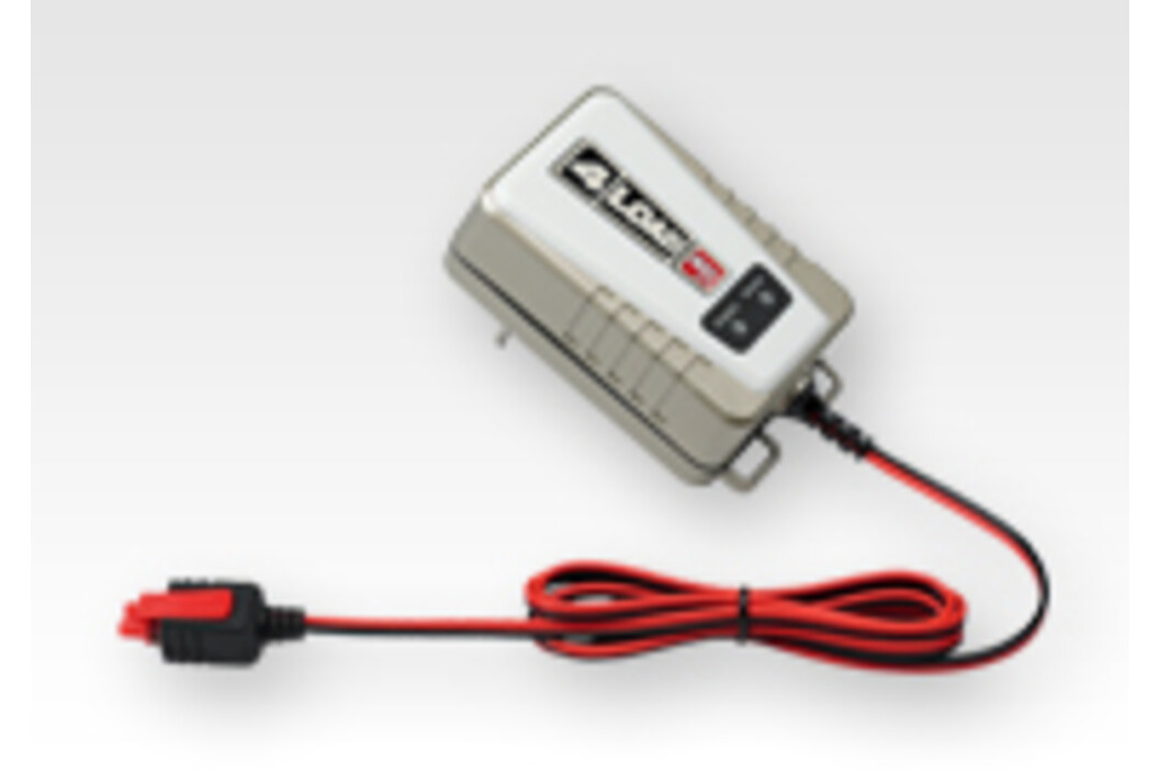 Tadiran Lithium Batterie SL-750/P mit Axialdraht, Art.-Nr. 122 - Akku Mäser - B2B-Shop