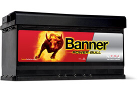 Banner Power Bull Kalzium P9533, Art.-Nr. 508793 - Akku Mäser - B2B-Shop