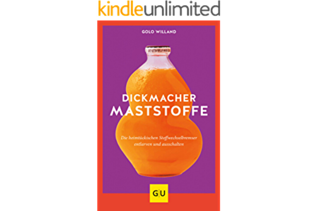 TranzX Fahrrad Akku Ladegerät, Art.-Nr. 505291 - Akku Mäser - B2B-Shop