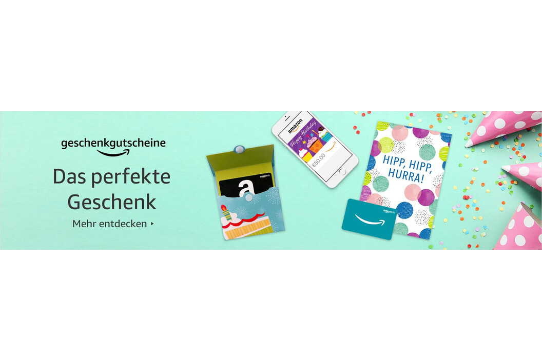 TranzX Fahrrad Akku Ladegerät, Art.-Nr. 505291 - Akku Mäser - B2B-Shop