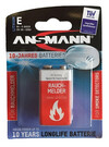 Antriebsbatterie 4 EPzS 620, Art.-Nr. 506901 - Akku Mäser - B2B-Shop