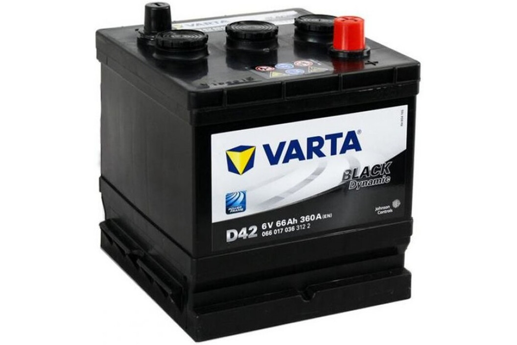 VARTA Promotive Black D42 066017036 - Auslaufmodell, Art.-Nr. 501956 - Akku Mäser - B2B-Shop