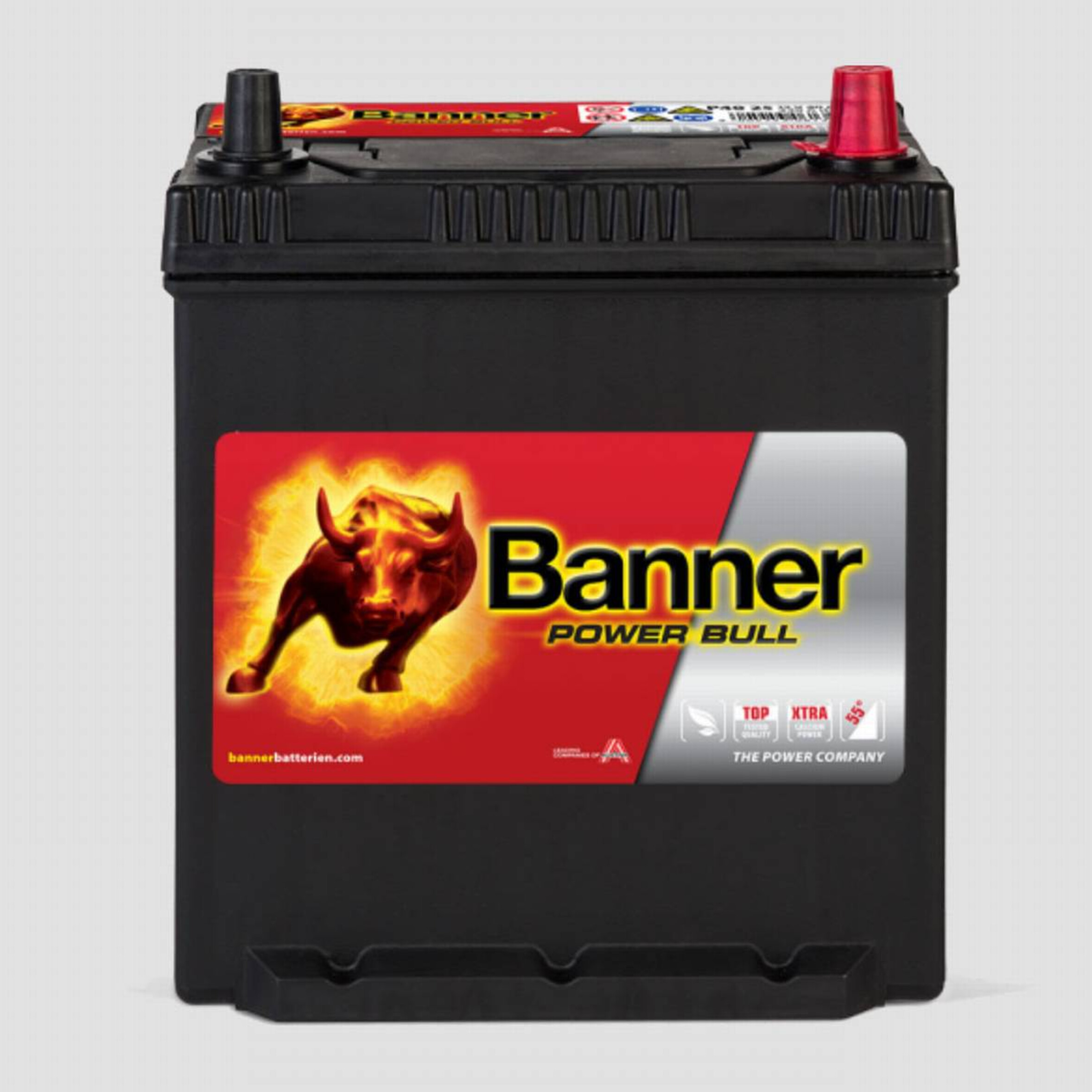 Banner Power Bull Kalzium P4025, Art.-Nr. 513379 - Akku Mäser - B2B-Shop Banner Power Bull Kalzium P4025, Art.-Nr. 513379 - Akku Mäser - B2B-Shop