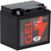 Landport MG L60-N30-3 GEL (G60-N30L-A), Art.-Nr. 510089 - Akku Mäser - B2B-Shop